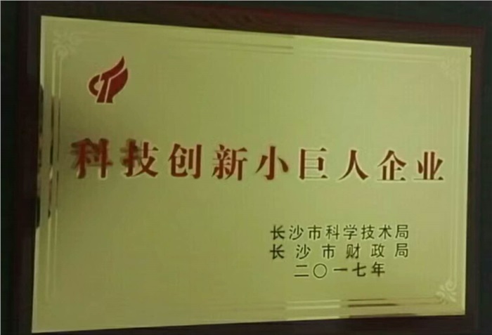 德信（中国）官方入口智能荣获科技创新小巨人企业